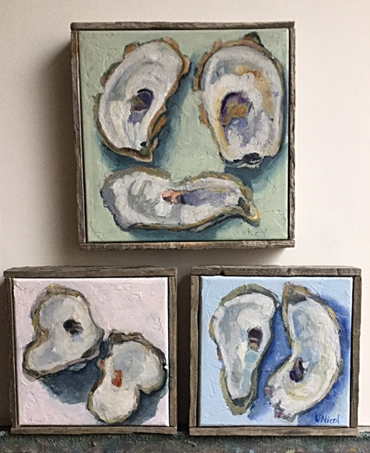 Capturing the beauty of Wellfleet Oyster Shells