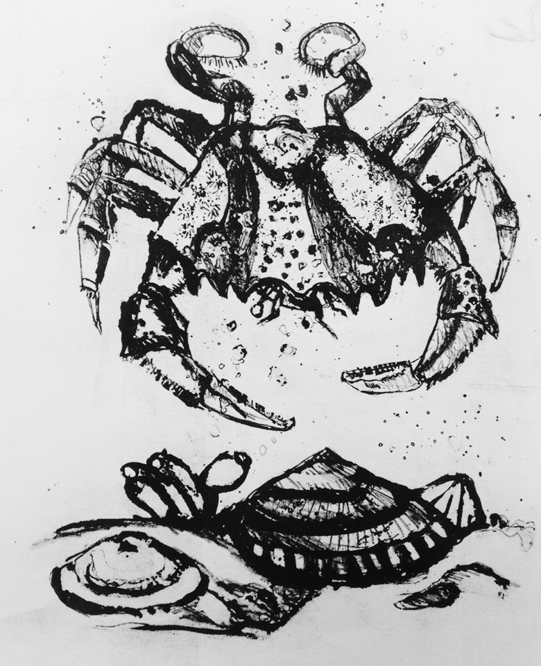 Lithograph - Blue Crab